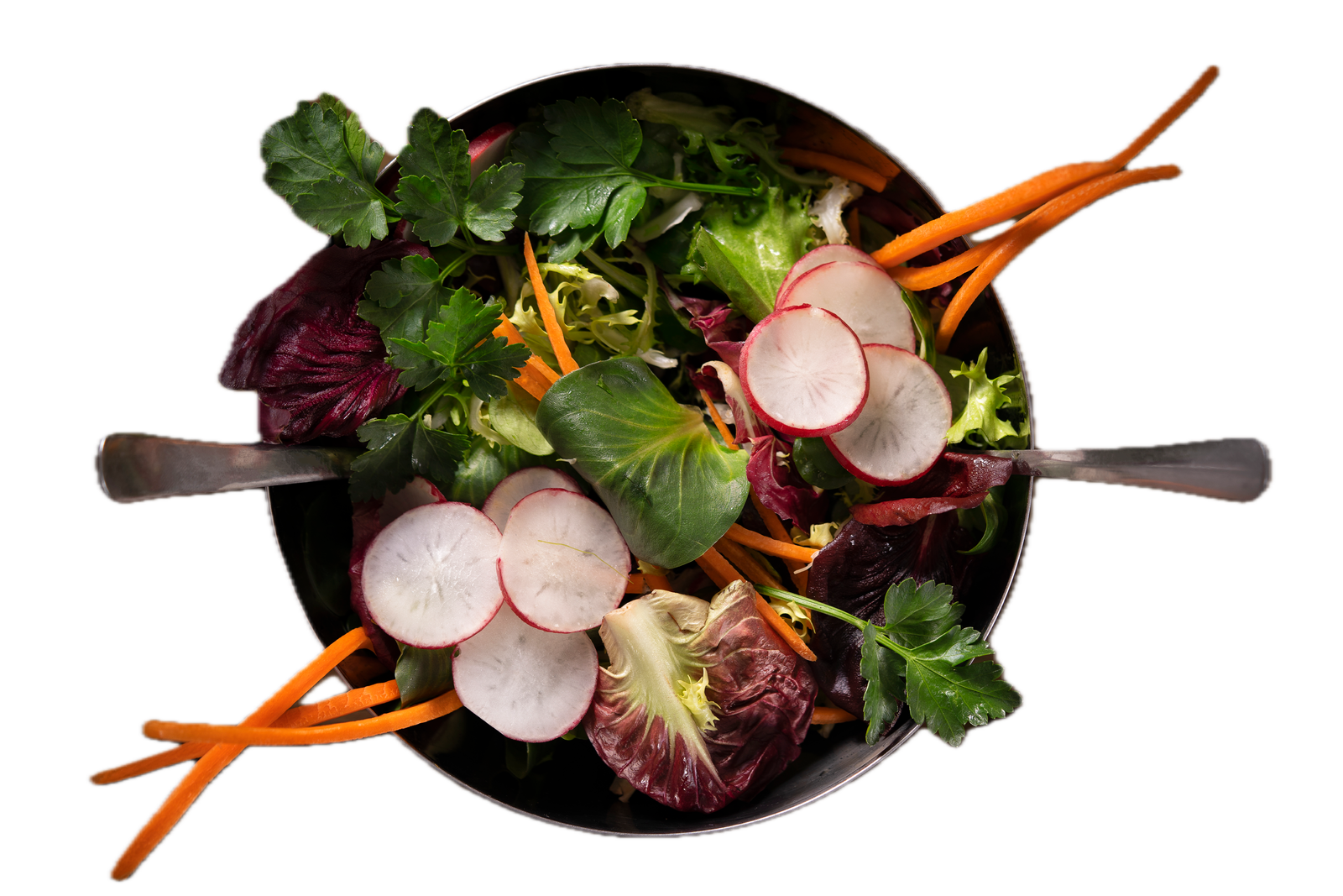 Sprouts & Veggie  Salad