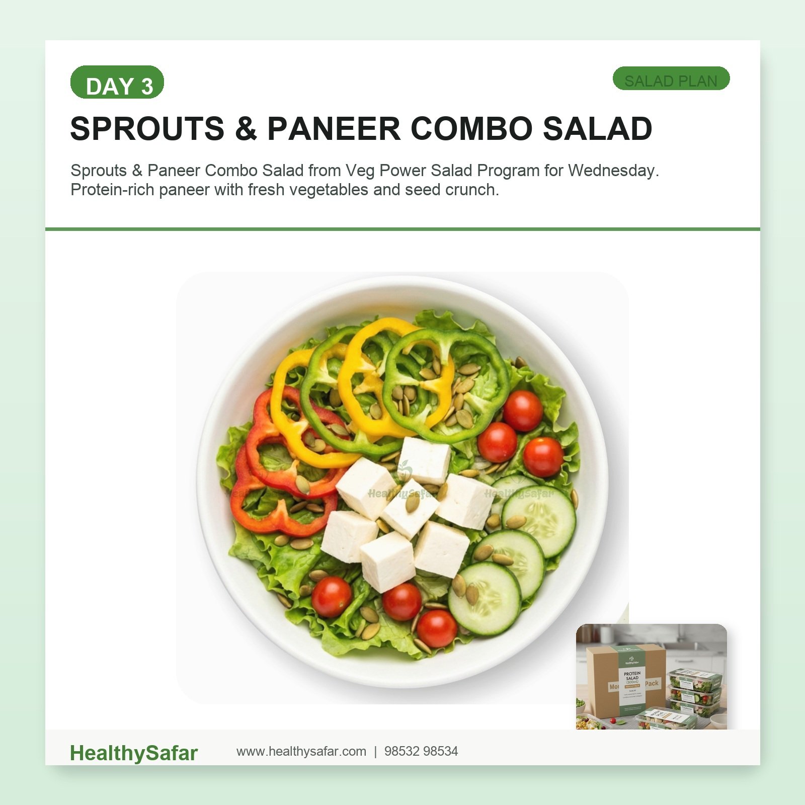 Sprouts & Paneer Combo Salad